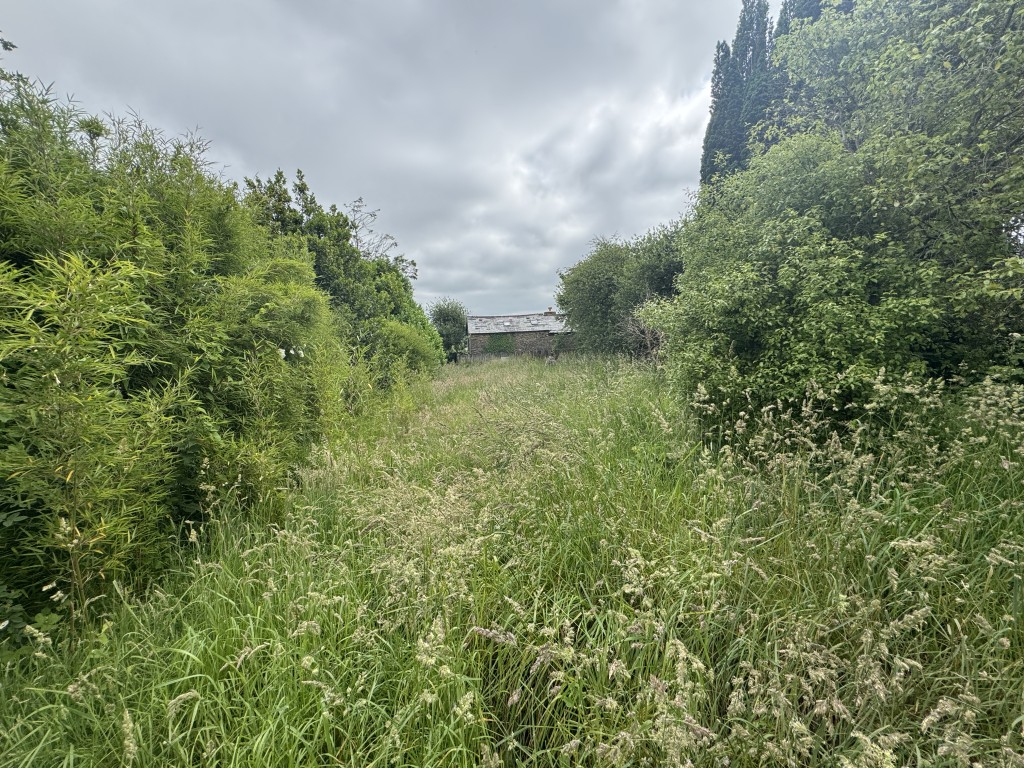 Lot: 94 - END-TERRACE COTTAGE FOR SIGNIFICANT IMPROVEMENT WITH COMMUNAL PARKING AREA - Rear Garden